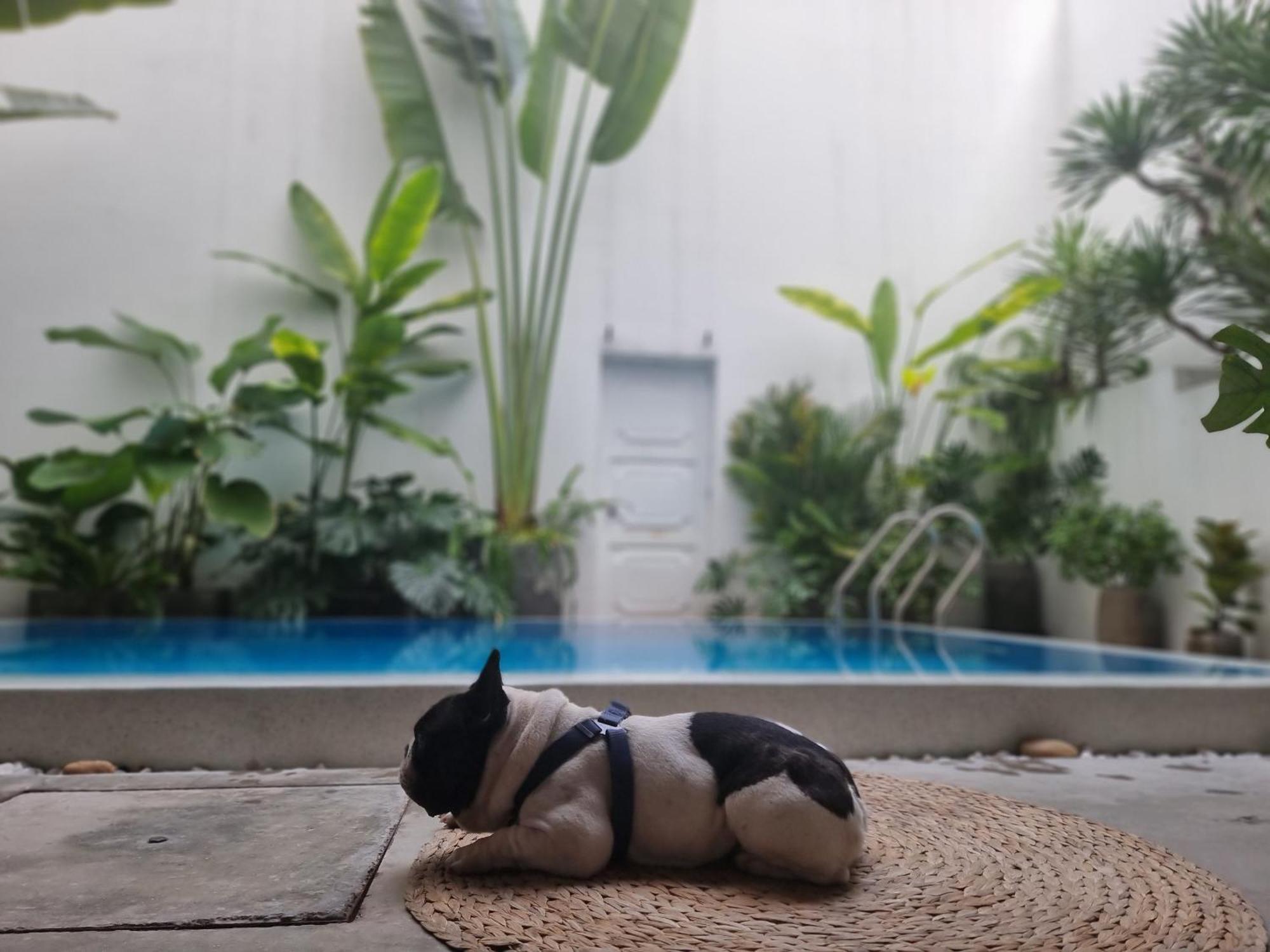 Lada'S House Da Nang Apartment Ngoại thất bức ảnh